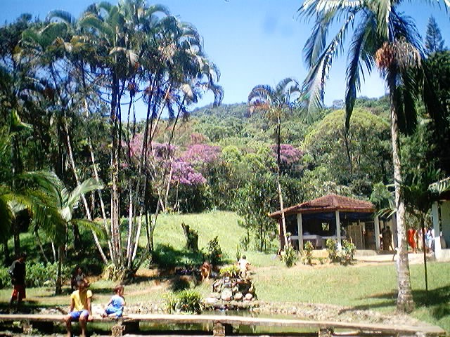 Imagem 14 de 18  -  148 kB